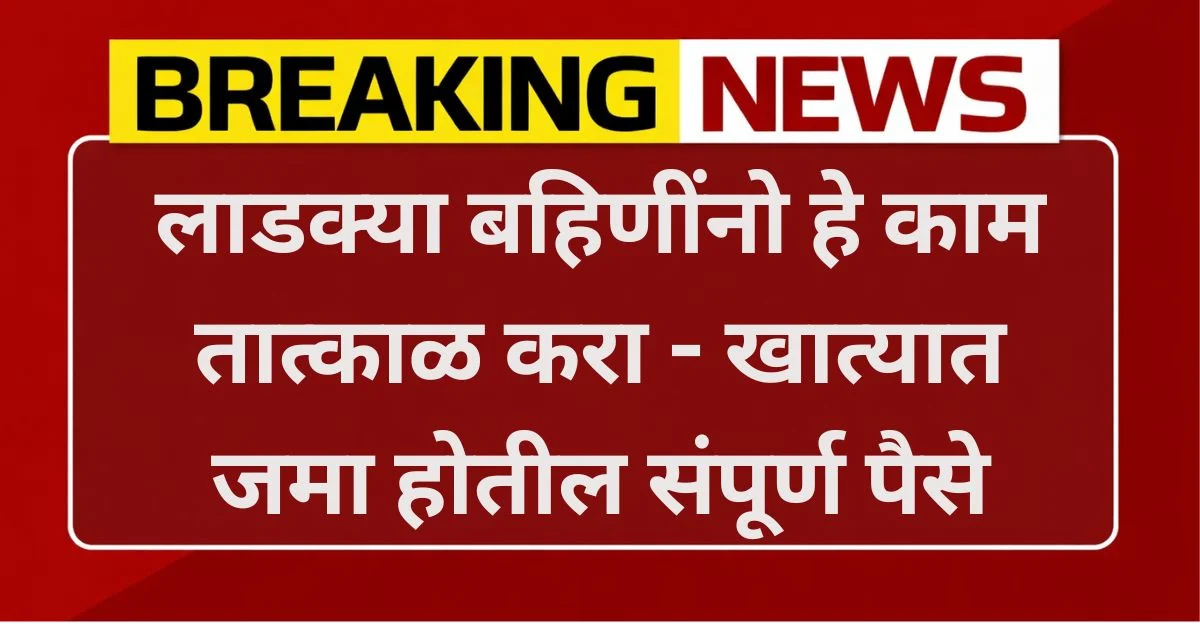 Ladki Bahin New Update Feb 2026